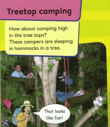 Camping - Floppy's Phonics