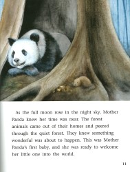 A Baby Panda is Born - Engage