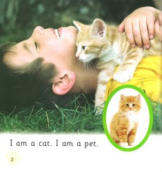 Pet Cat,  Big Cat - Collins Big Cat Phonics