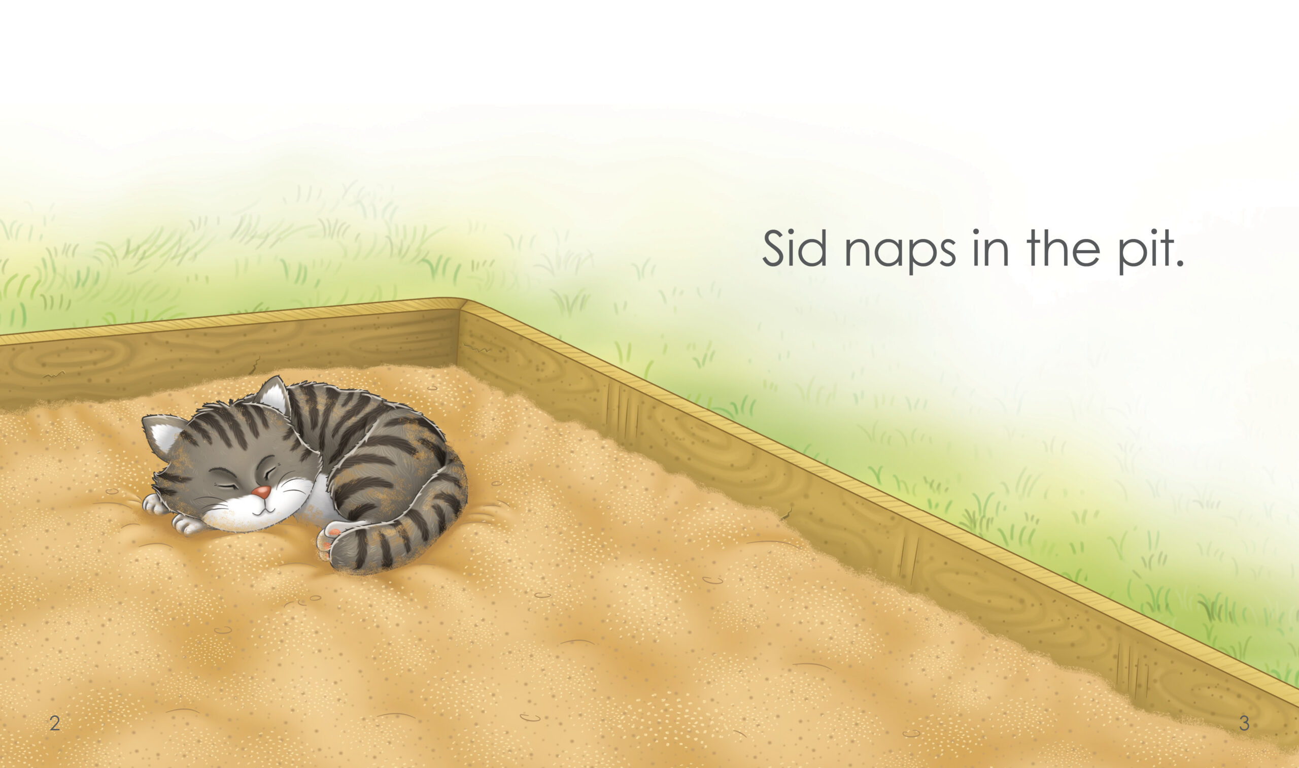 In the Pit Sample Page