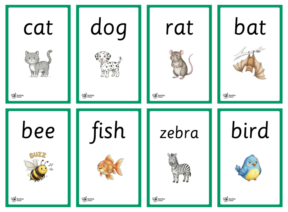 Animal Phonics Flashcards