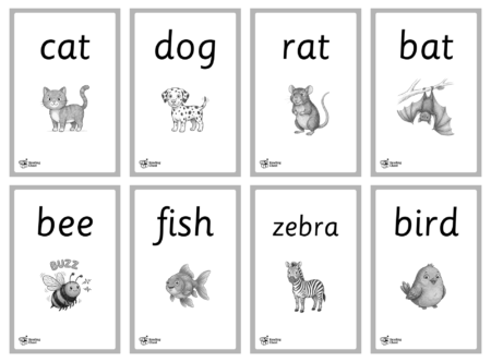Animal Phonics Flashcards - Black & White