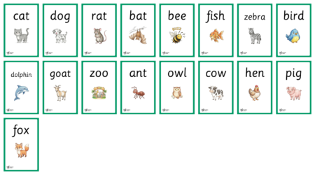Animal Phonics Flashcards - Detail 1