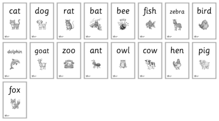Animal Phonics Flashcards - Detail 2