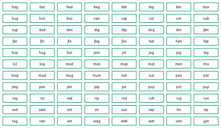 CVC Word Cards - Detail 1